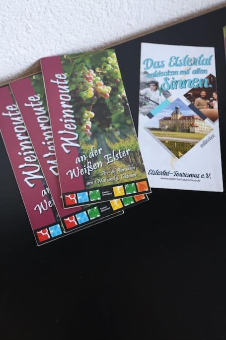 Ferienwohnung Weingut Lahmer August Kretzschau Exterior foto